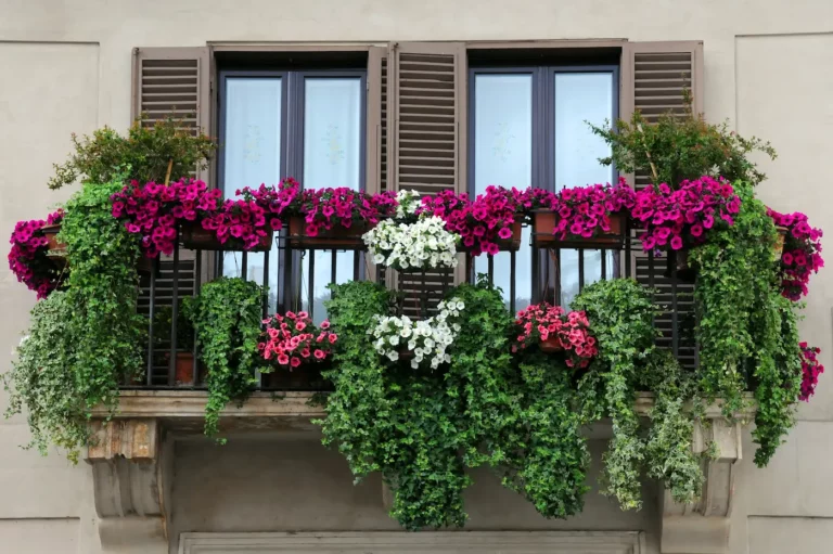 Come prendersi cura delle piante sul nostro balcone?